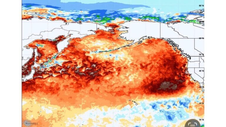 California and Hawaii Face Intensifying Pacific Ocean Heatwave as Scientists Warn It Could Fuel Stronger Storms and Trigger El Niño in 2026