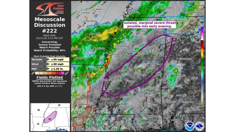 Mississippi Faces 40 Percent Severe Watch Risk as SPC Issues Mesoscale Discussion for Isolated Storm Threat Focused on Southwest Counties