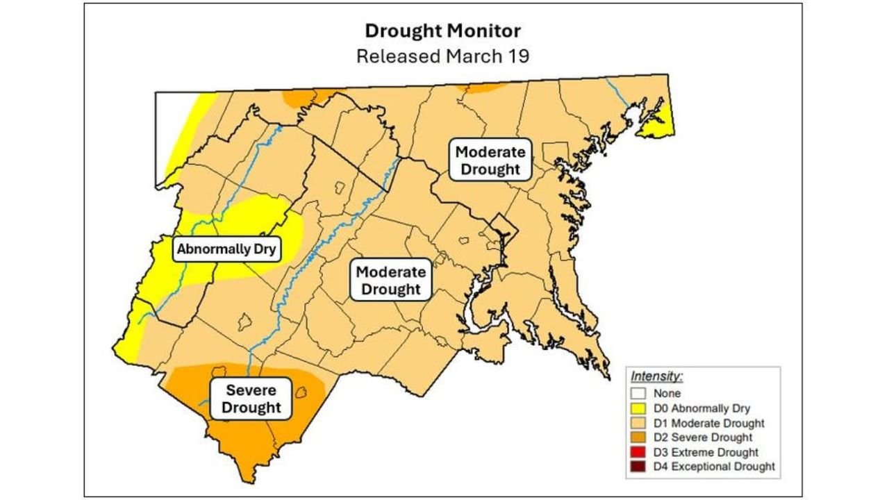 Washington, D.C., Maryland and Northern Virginia Shift from Severe to Moderate Drought, But Dry Trend Threatens Progress Through Late March