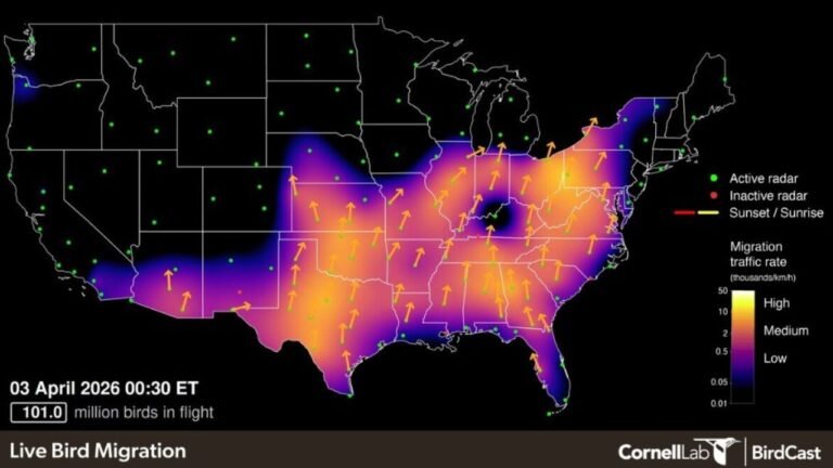 Ohio Valley, Mid-Atlantic and Southern Plains See Massive Overnight Bird Migration Surge as Over 100 Million Birds Move North and Northeast Across the U.S.