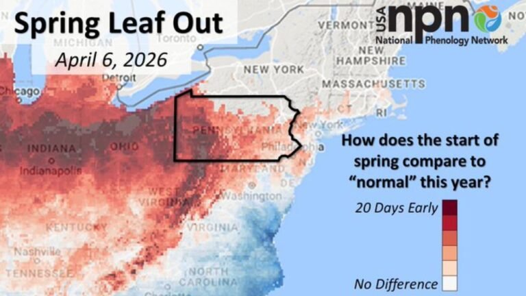 Pittsburgh Erie Scranton And State College Pennsylvania See Early Spring Surge As Warm March And Wet Pattern Push Temperatures And Rainfall Above Normal Into April