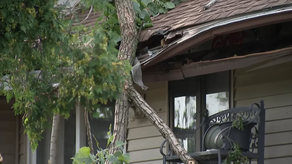 Violent South Suburban Chicago Storms Damage Homes, Uproot Trees and Tear Part of Credit Union 1 Amphitheatre Roof Before Lynyrd Skynyrd Concert