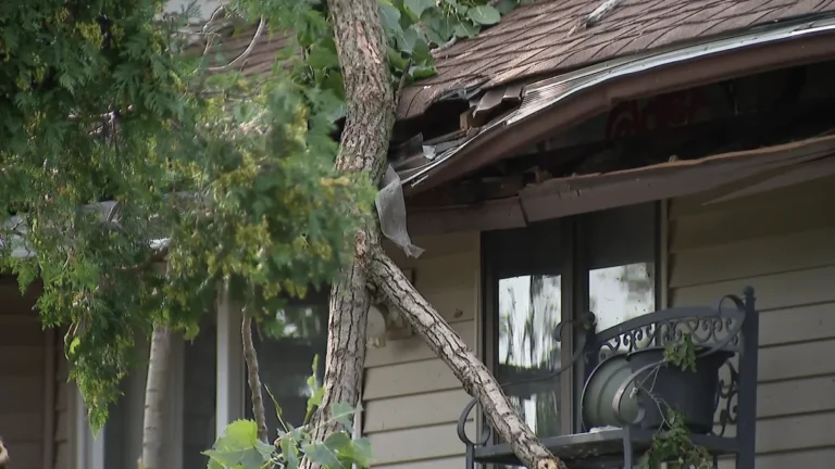 Storm damage in a Chicago suburb with downed debris and a damaged roof