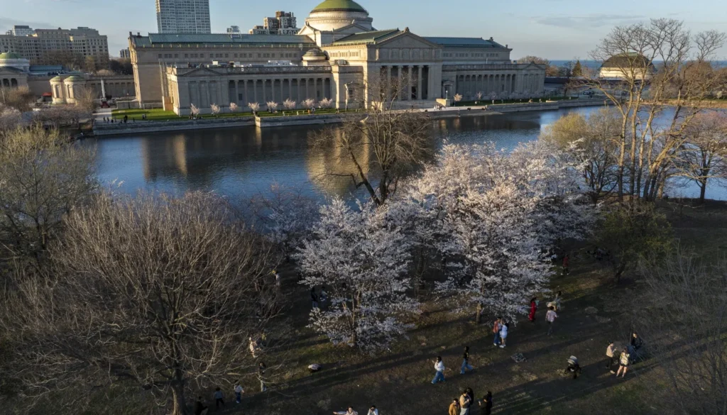 Open House Chicago Adds 20 New Sites for 2026, Including Blackhawks Ice Center, Muddy Waters Mojo Museum and Griffin Museum of Science and Industry