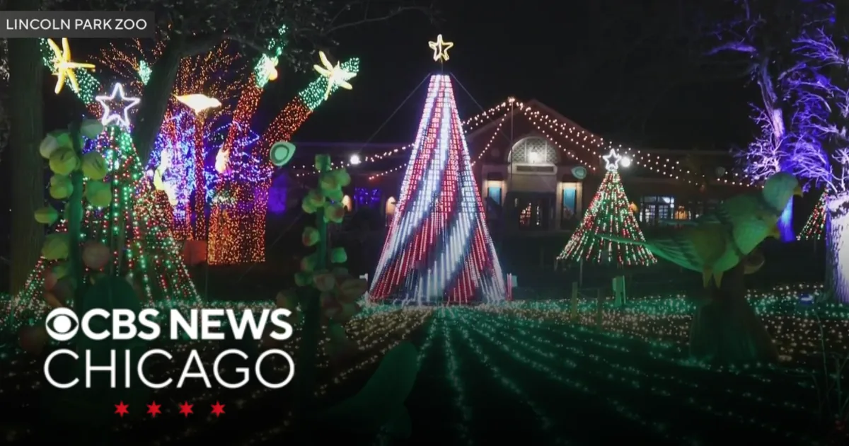 Colorful holiday lights at Lincoln Park Zoo during ZooLights