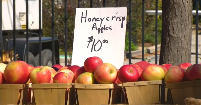 Crowds and vendor tents line Chicago's Lincoln Avenue at Lincoln Square Ravenswood Apple Fest